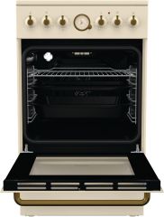 ECS5250CLI slonová kost + 5LET záruka ZDARMA