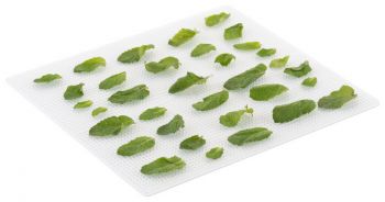 230290000 Vital Air II černá