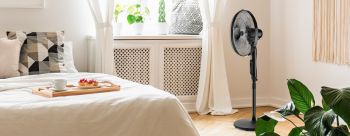 260790000 Naos černá