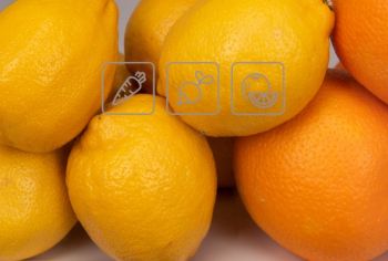 254990000E bílá Prodloužená záruka po registraci