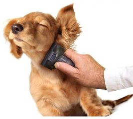 350190010 Manoa Animal černá