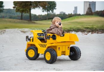 BEC8166 žlutá/černá