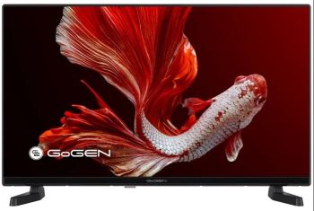 GOGEN TVH32P381T
