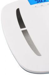 278090000 Helen bílá